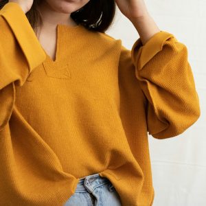 Mustard  Casual Long Sleeve Top